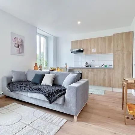 1 3p Ideal Famille Travail Renove Lumineux Parking Gratuit Apartment Mulhouse
