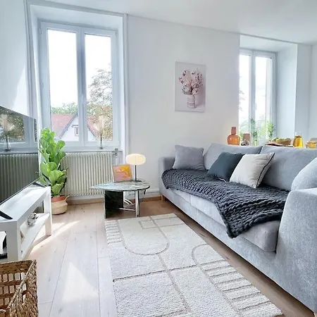 1 3p Ideal Famille Travail Renove Lumineux Parking Gratuit * Mulhouse